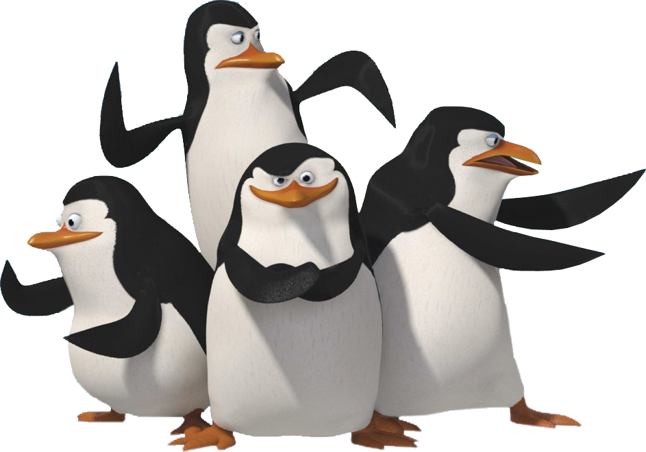Pingwiny z Madagaskaru